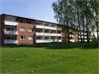 Image missing alt text