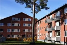 Image missing alt text