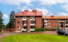 Image missing alt text