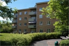 Image missing alt text