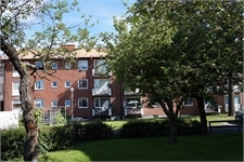 Image missing alt text