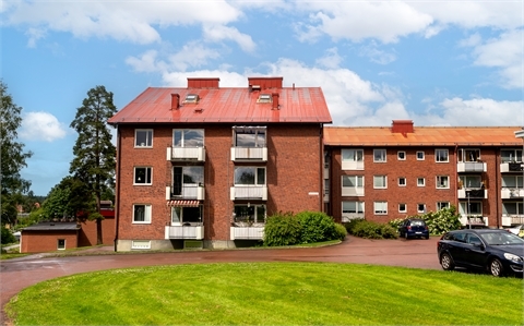 /Global/DisplayMultimediaDescription.ashx?guid=8c21a4c4-0029-4a43-af08-c5d6a4d99e5f