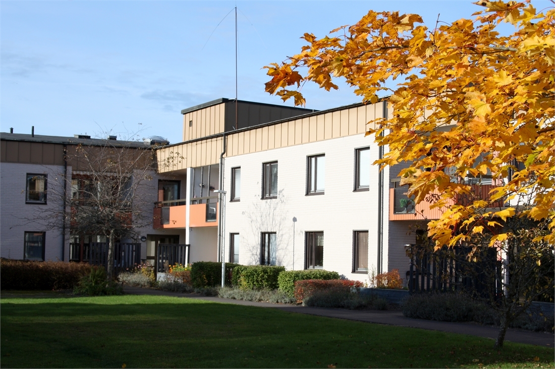 /Global/DisplayMultimediaDescription.ashx?guid=d8fa298d-5973-408a-9e32-de037b9002bd